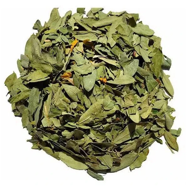 Photo Feuilles de Jujubier 50g Samia
