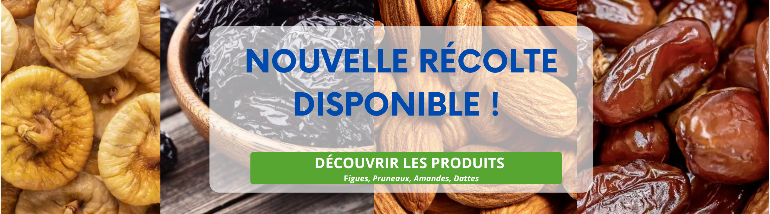 Temps fort Nouvelle Récolte