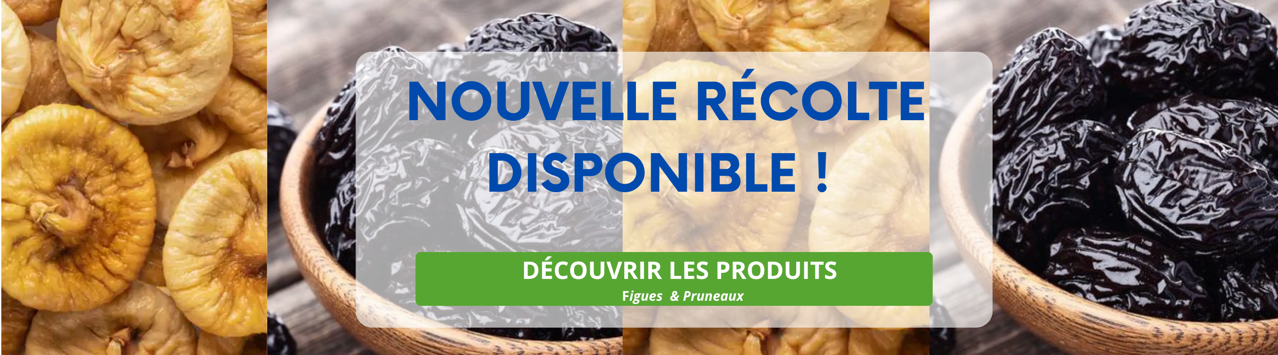 Temps fort Nouvelle Récolte